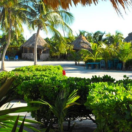 Hotel Costa De Cocos Xcalak Exterior foto