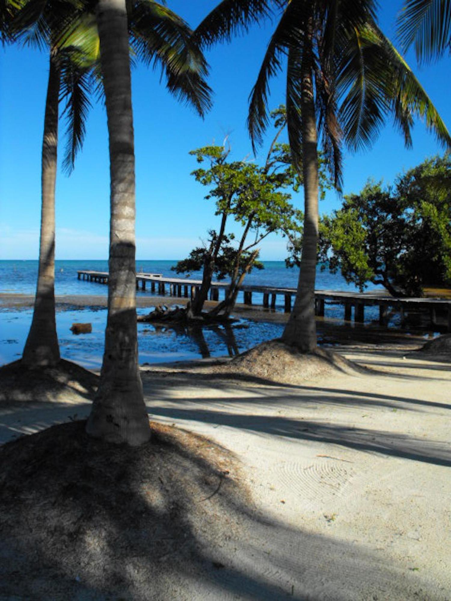 Hotel Costa De Cocos Xcalak Exterior foto
